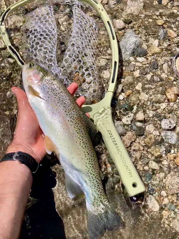 Thorofare Collapsible Travel Net image 5