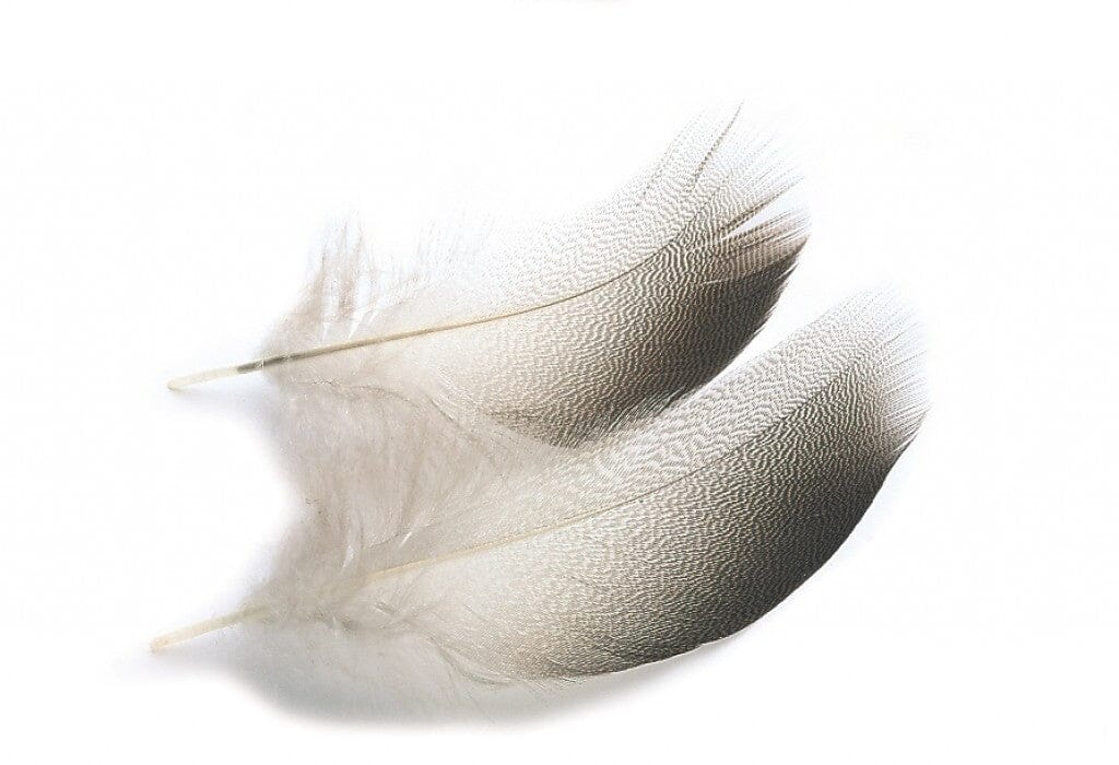 Veniard Select Mallard Duck Bronze Flank Feathers - Upavon Fly Fishing
