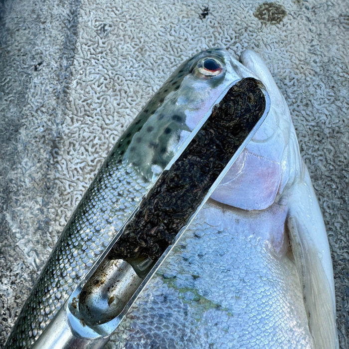 Fly Fishing Buzzers For Trout - Upavon Fly Fishing