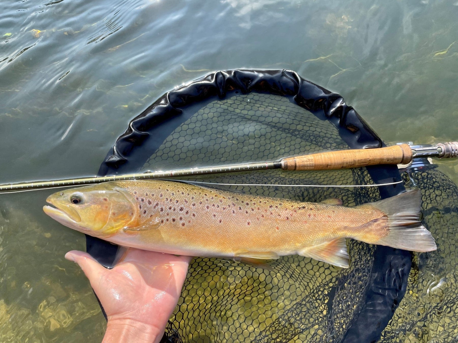 Summer Fly Fishing Tactics For Trout - Upavon Fly Fishing
