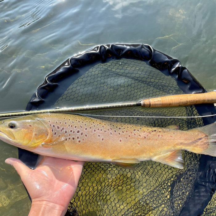 Summer Fly Fishing Tactics For Trout - Upavon Fly Fishing
