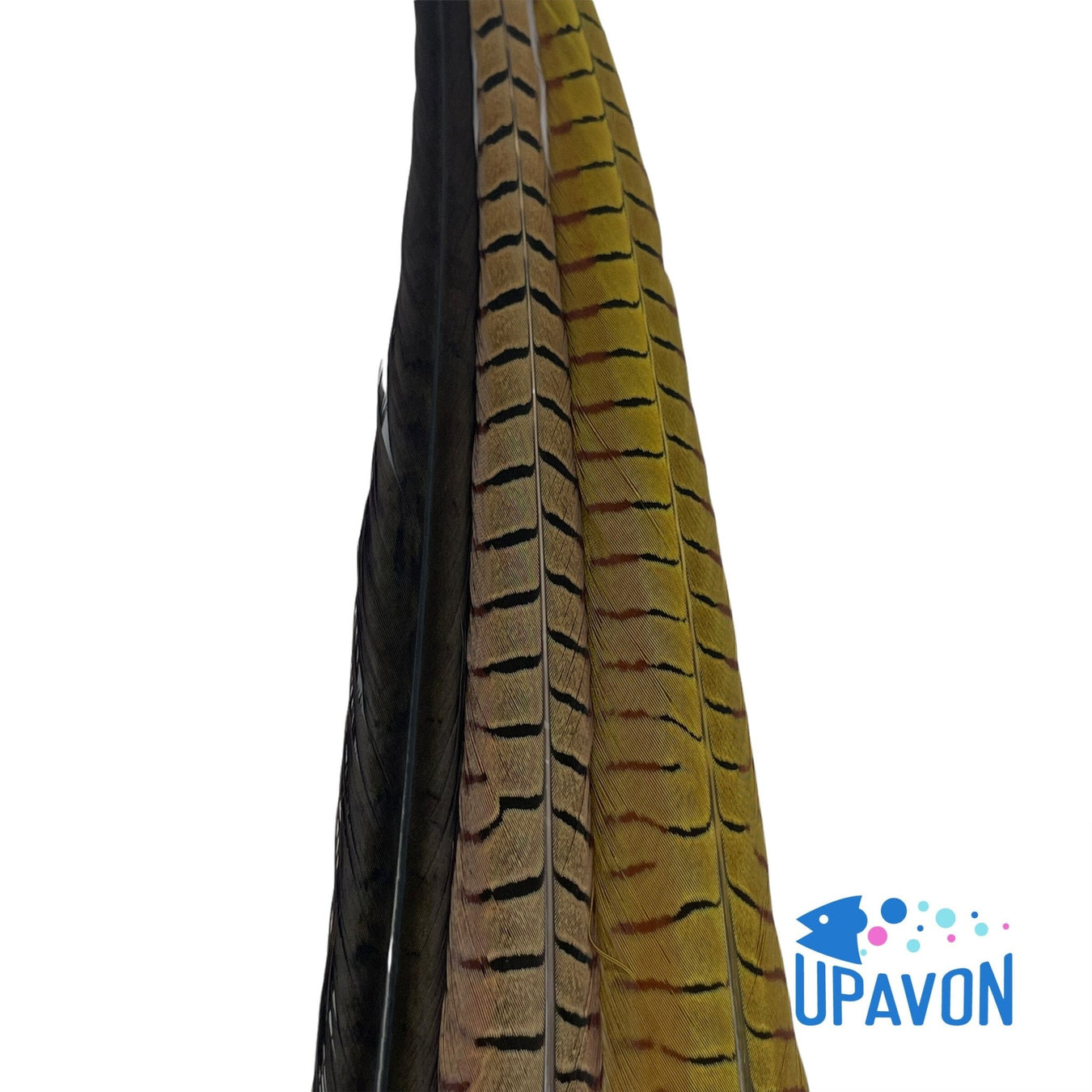 Furs & Feathers - Upavon Fly Fishing