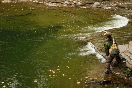 River Fishing - Upavon Fly Fishing