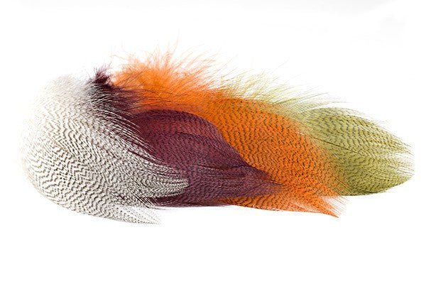 Troutline Premium Mallard Barred Feathers for fly wings