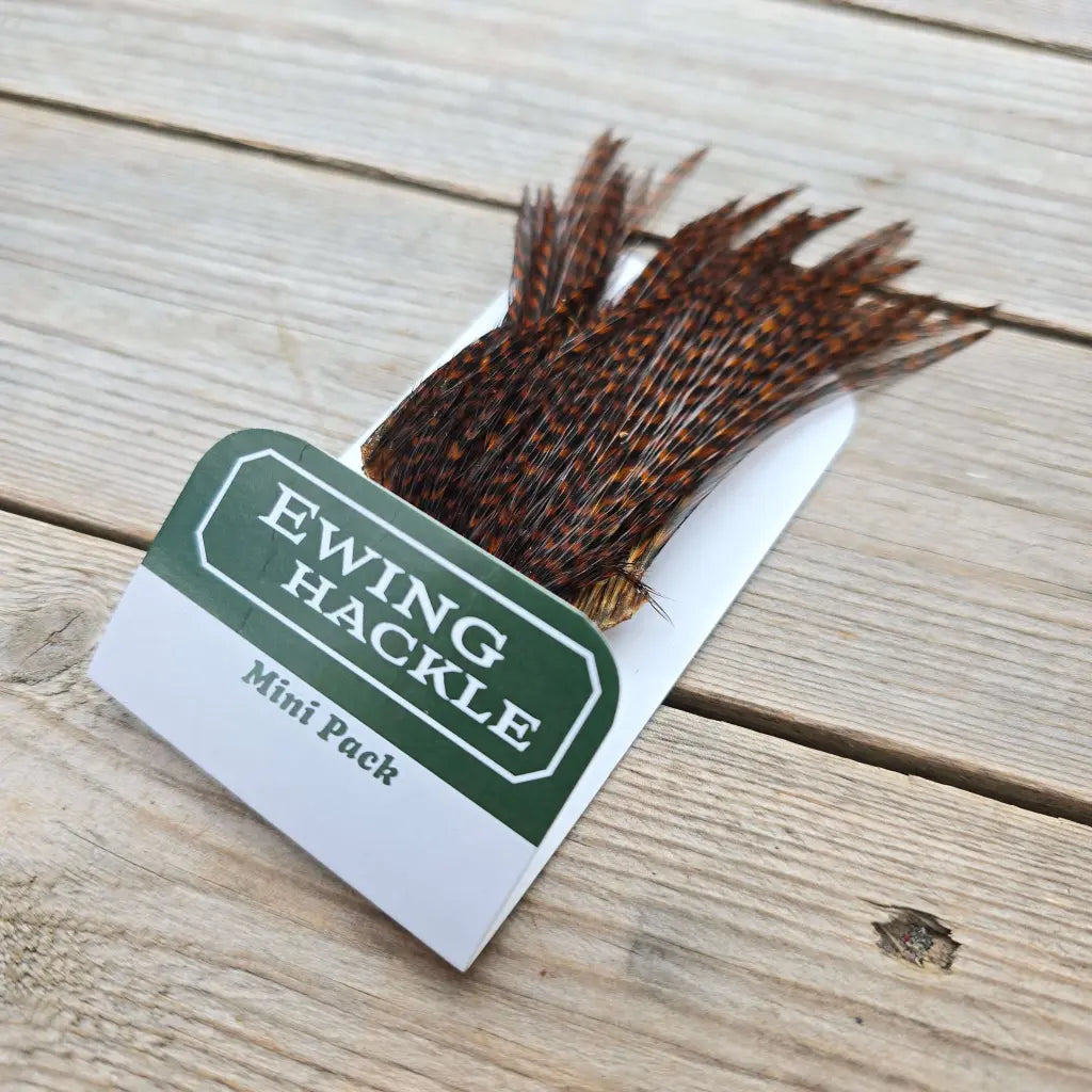 Ewing Cock Mini Pack 12-14