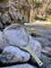 Thorofare Collapsible Travel Net image 0
