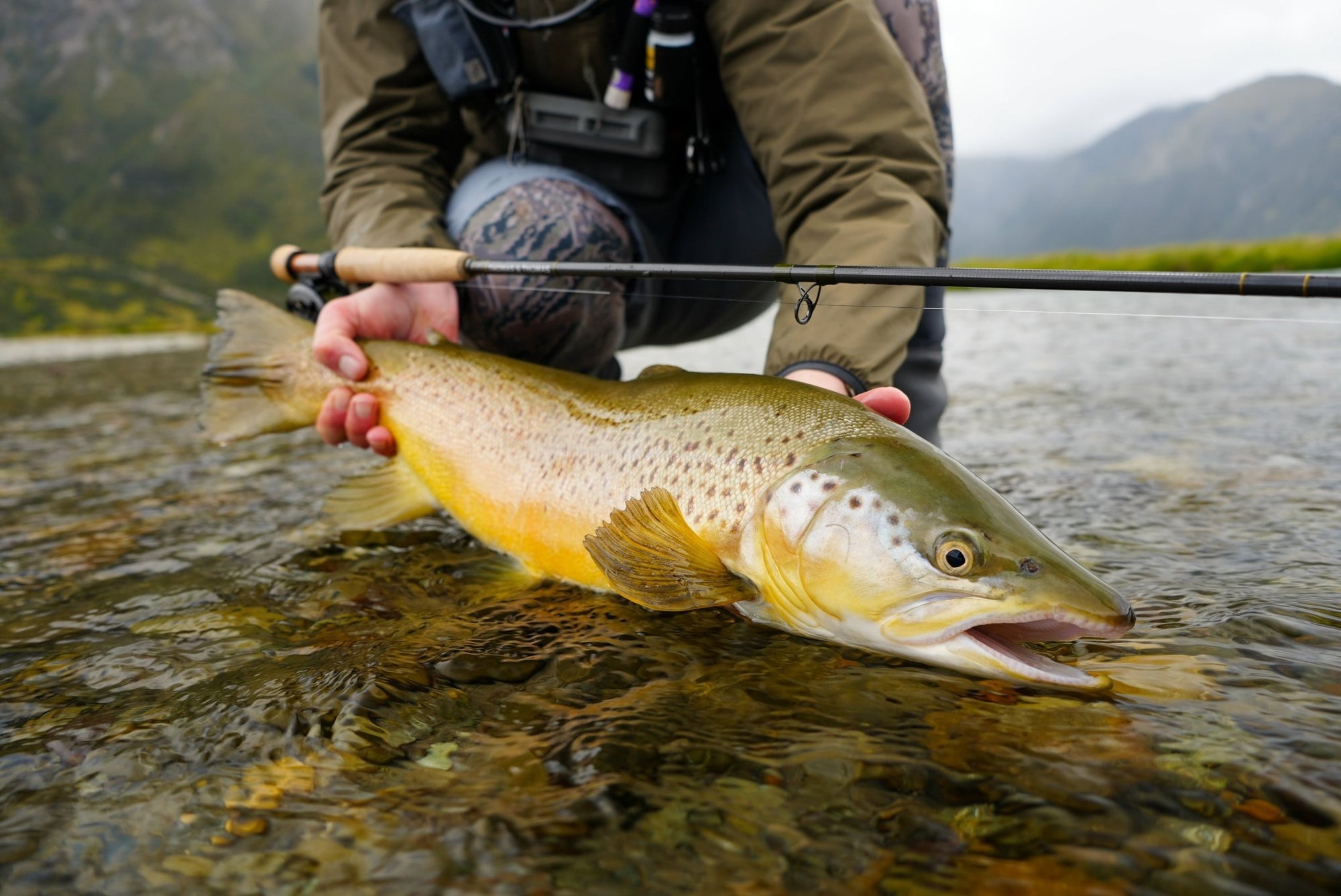 Thomas & Thomas - Contact III+ Technical Nymphing Rods (New 2026) - Upavon Fly Fishing