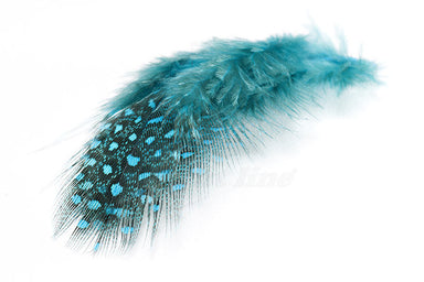 Troutline Selected Guinea Fowl Feathers - Upavon Fly Fishing