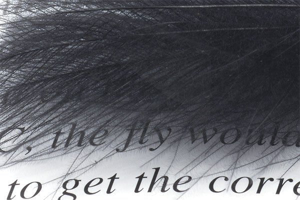 Troutline CDC Dyed Feathers Tier's Pack