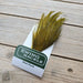 Ewing - Ewing Cock Mini Pack 12-14 - Upavon Fly Fishing