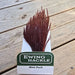 Ewing - Ewing Cock Mini Pack 12-14 - Upavon Fly Fishing