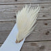 Ewing - Ewing Cock Mini Pack 12-14 - Upavon Fly Fishing