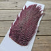 Ewing Deceiver / Streamer Patch - Light Pink Grizzly fly tying feathers