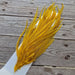 Ewing Woolly Bugger Pack - Golden Olive fly tying feathers