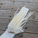 Ewing Woolly Bugger Pack - White fly tying feathers