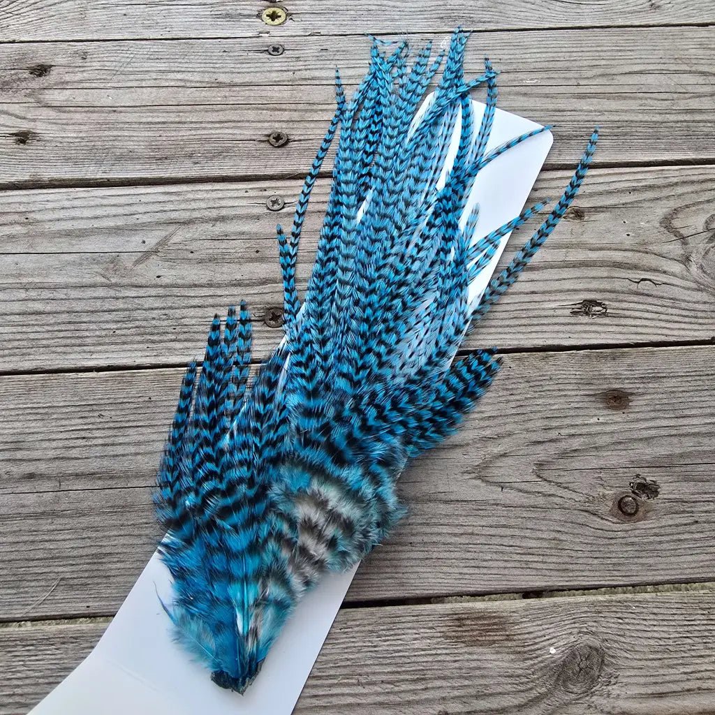 Ewing Woolly Bugger Pack - Kingfisher Grizzly fly tying feathers