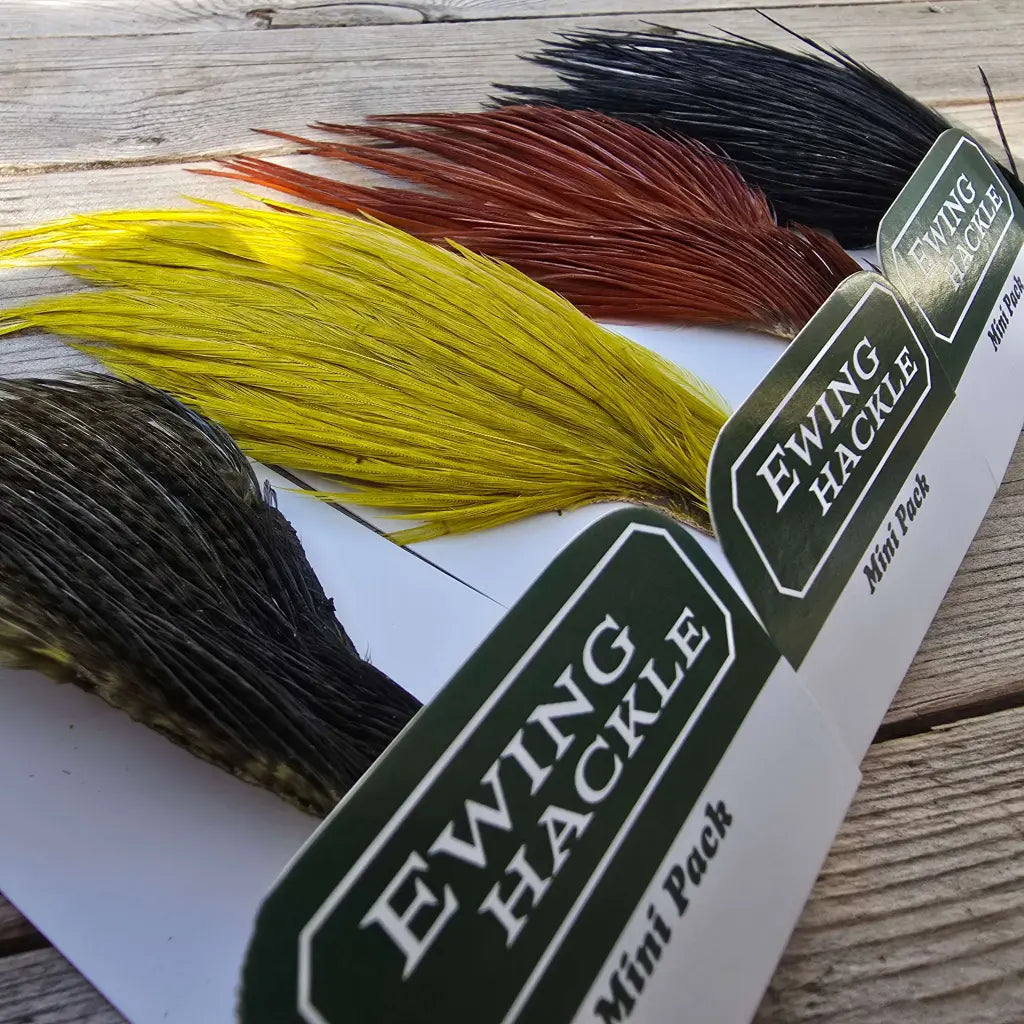 Ewing Cock Mini Pack 12-14