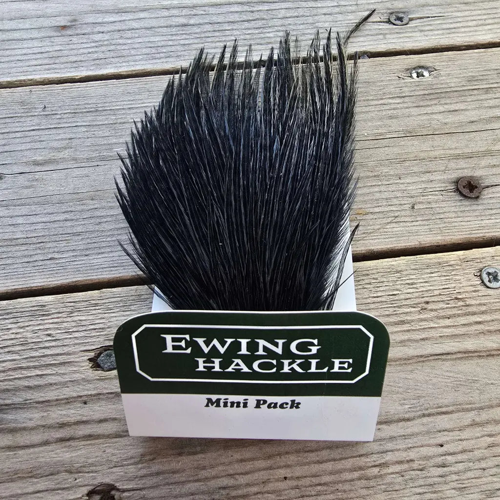 Ewing Cock Mini Pack 12-14