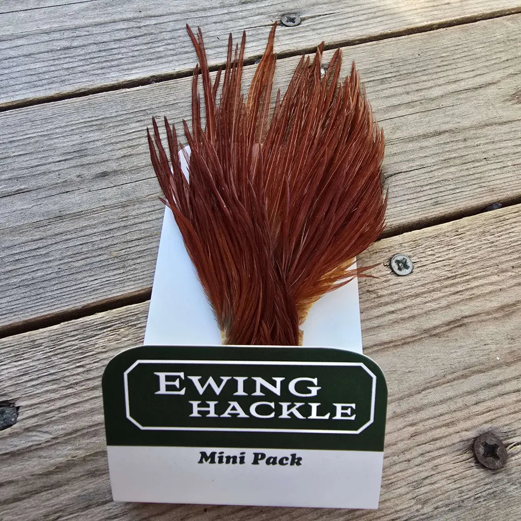 Ewing Cock Mini Pack 12-14