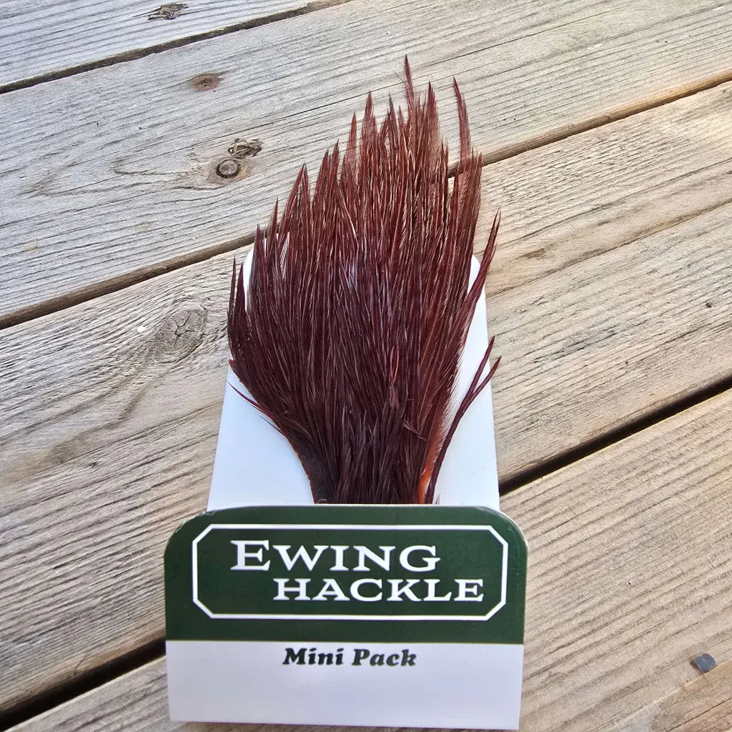 Ewing Cock Mini Pack 12-14
