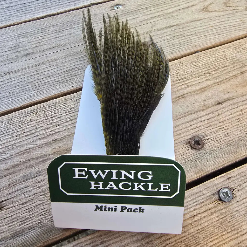 Ewing Cock Mini Pack 12-14