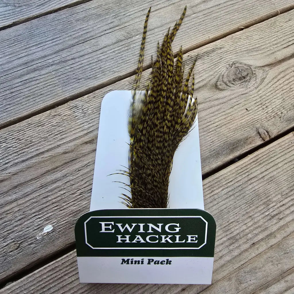 Ewing Cock Mini Pack 12-14