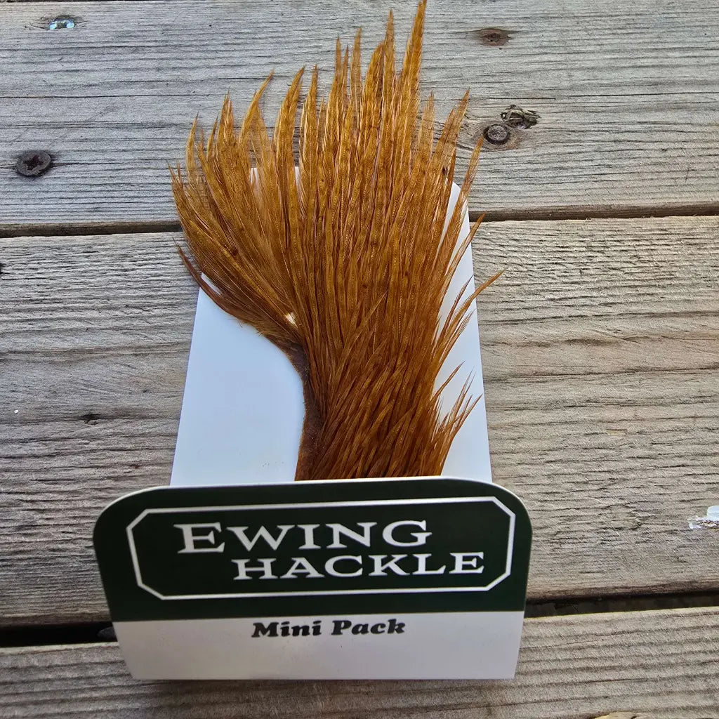 Ewing Cock Mini Pack 12-14