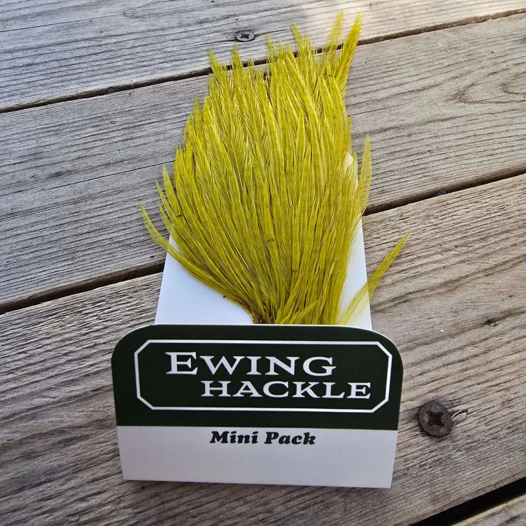 Ewing Cock Mini Pack 12-14
