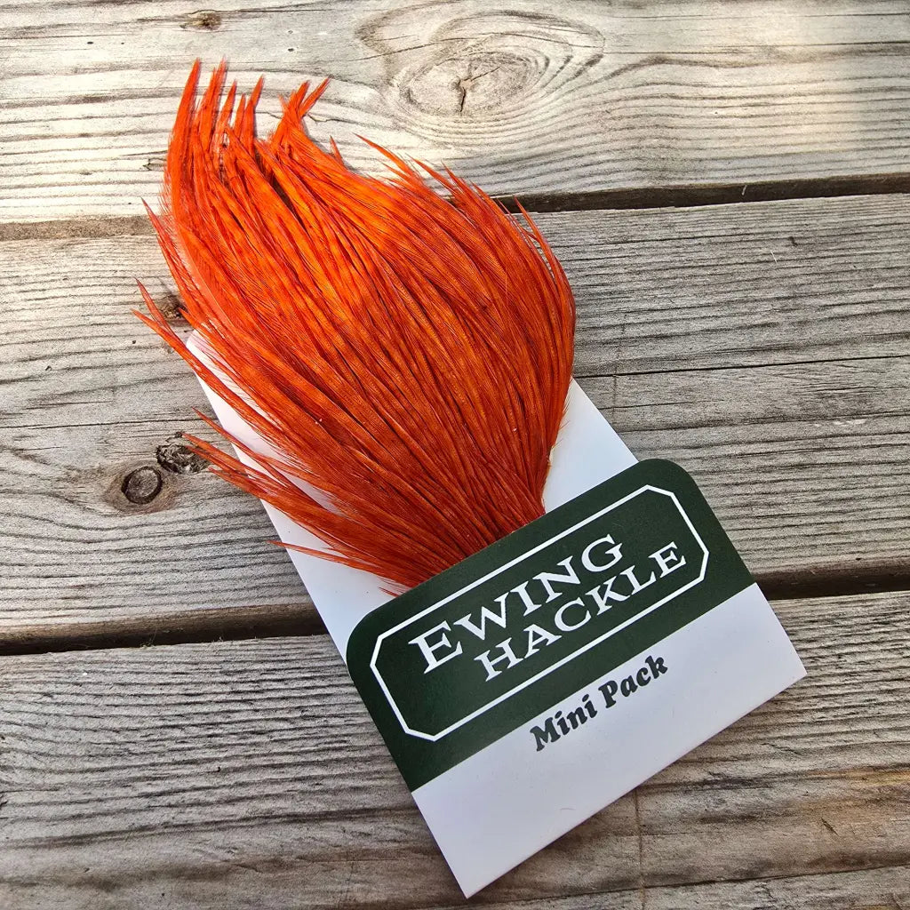 Ewing Cock Mini Pack 12-14