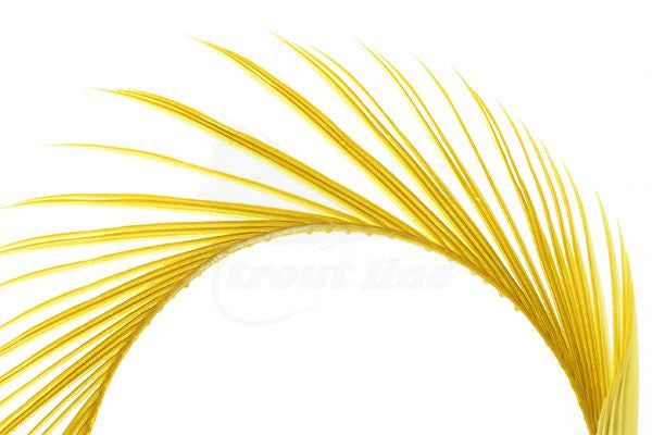 Troutline Selected Goose Biots - Upavon Fly Fishing