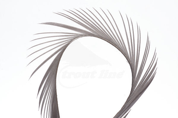 Troutline Selected Goose Biots - Upavon Fly Fishing