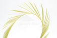 Troutline Selected Goose Biots - Upavon Fly Fishing