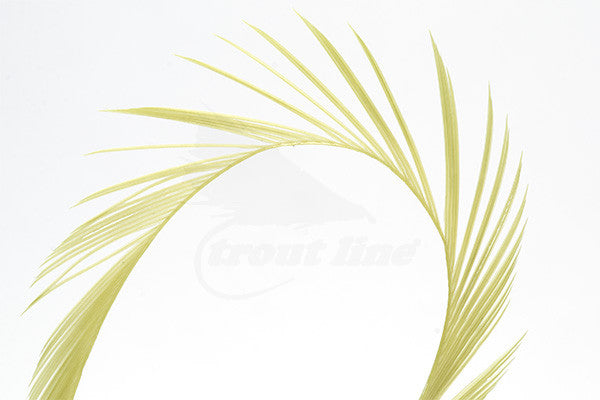 Troutline Selected Goose Biots - Upavon Fly Fishing