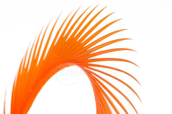 Troutline Selected Goose Biots - Upavon Fly Fishing