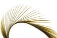 Troutline Selected Goose Biots - Upavon Fly Fishing