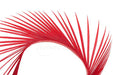 Troutline Selected Goose Biots - Upavon Fly Fishing