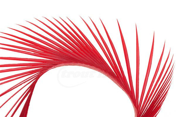 Troutline Selected Goose Biots - Upavon Fly Fishing