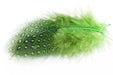 Troutline Selected Guinea Fowl Feathers - Upavon Fly Fishing