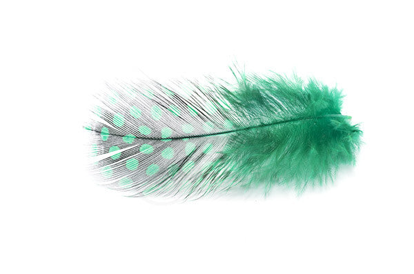Troutline Selected Guinea Fowl Feathers - Upavon Fly Fishing
