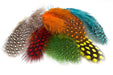 Troutline Selected Guinea Fowl Feathers - Upavon Fly Fishing