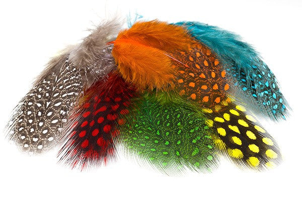Troutline Selected Guinea Fowl Feathers - Upavon Fly Fishing