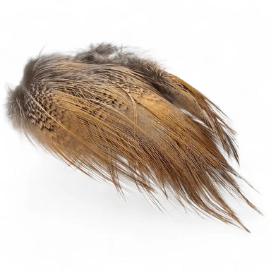 Kindale Cock Pheasant Long Rump Feathers