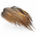 Kindale Cock Pheasant Long Rump Feathers