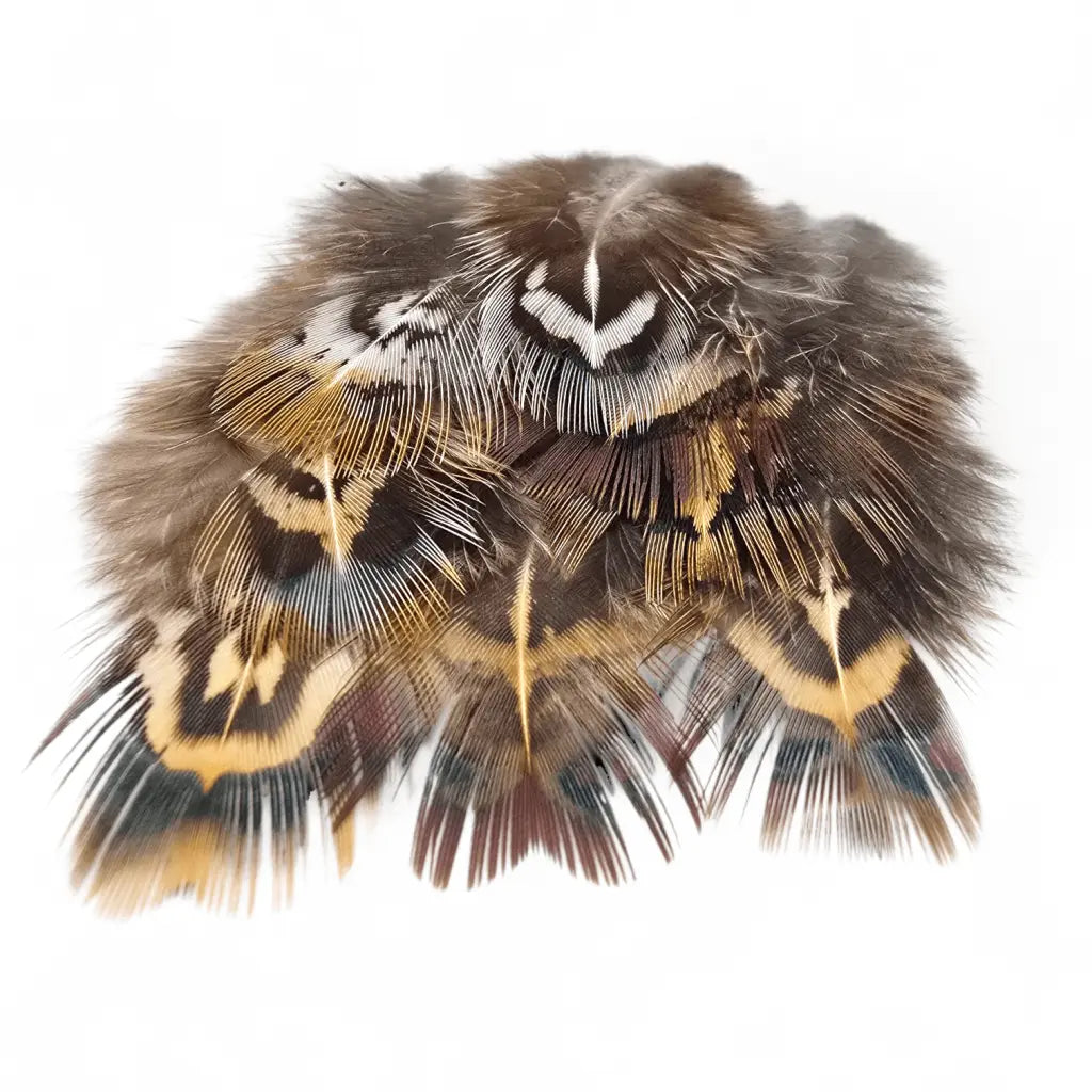 Kindale Cock Pheasant Short Rump Feathers