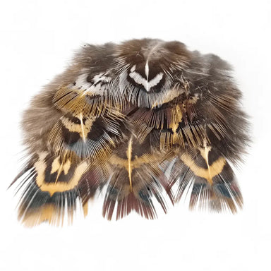 Kindale Cock Pheasant Short Rump Feathers