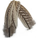 Kindale Cock Pheasant Wing Quills