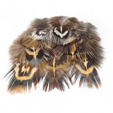 Kindale Cock Pheasant Short Rump Feathers