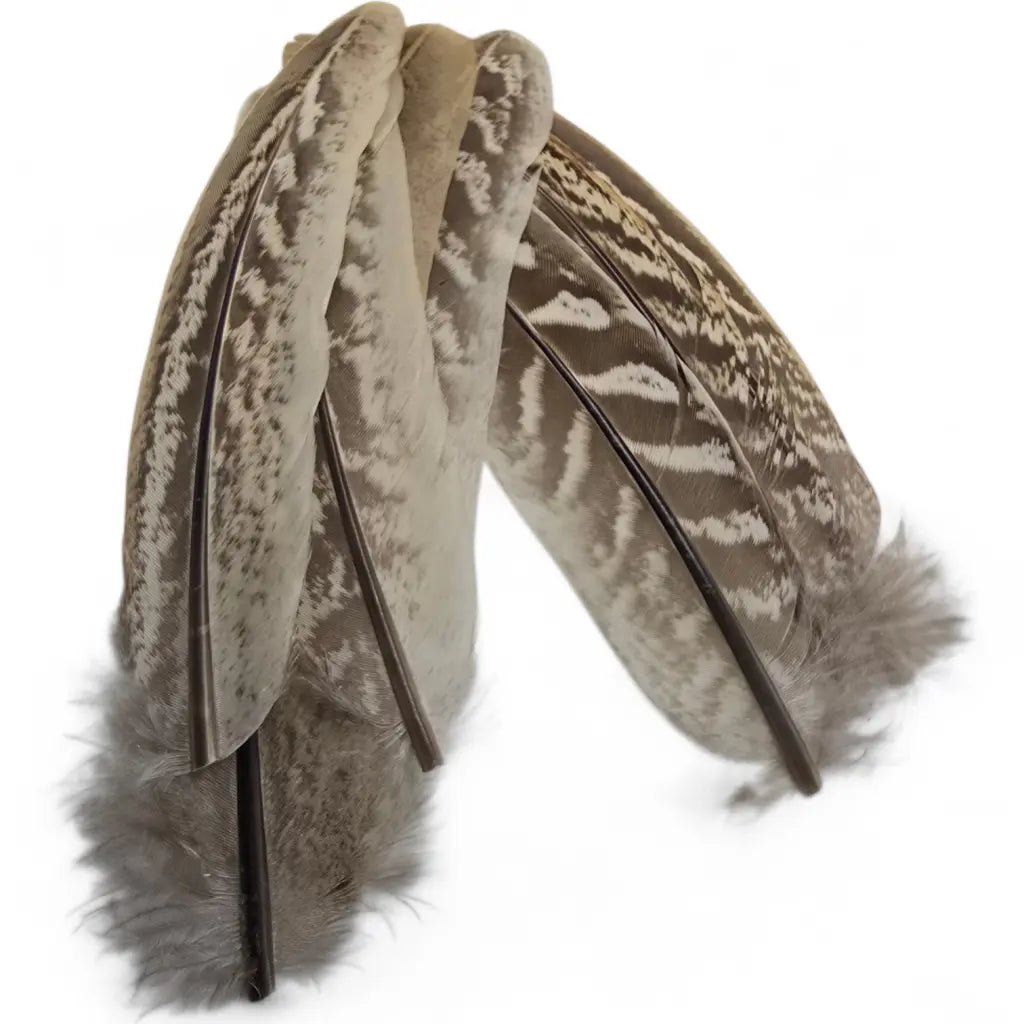 Kindale Cock Pheasant Wing Quills