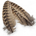 Kindale Hen Pheasant Wing Quills
