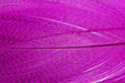 Troutline Premium Mallard Barred Feathers - Upavon Fly Fishing